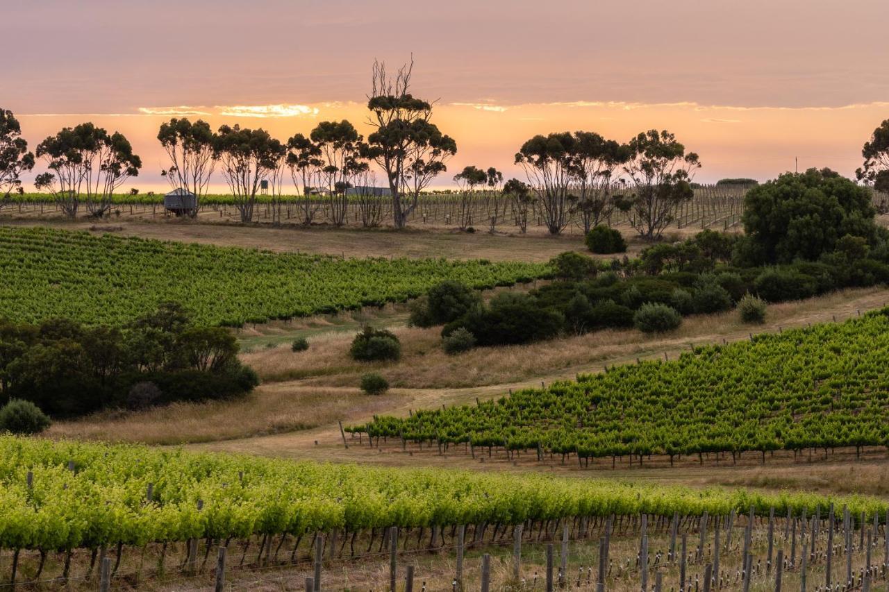 Hotel California Road At Inkwell Wines Макларен-Вейл Экстерьер фото